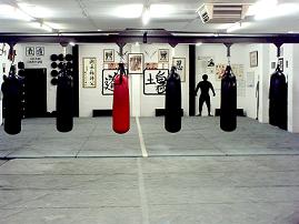 Inside the Dojo