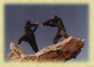 Ninjas Sparring